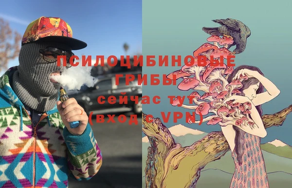 mix Алексин