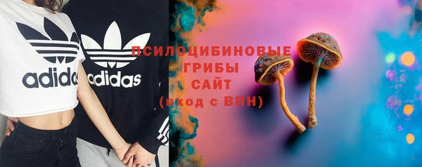 круглые Алексеевка