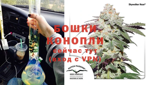 трава Алзамай