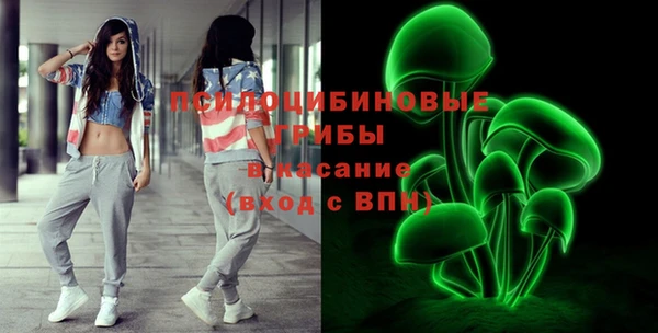 тгк Няндома