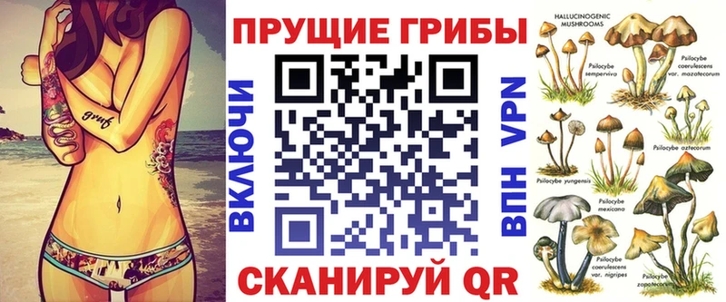 купить наркотики сайты  ОМГ ОМГ онион  Псилоцибиновые грибы мухоморы  Тайшет 