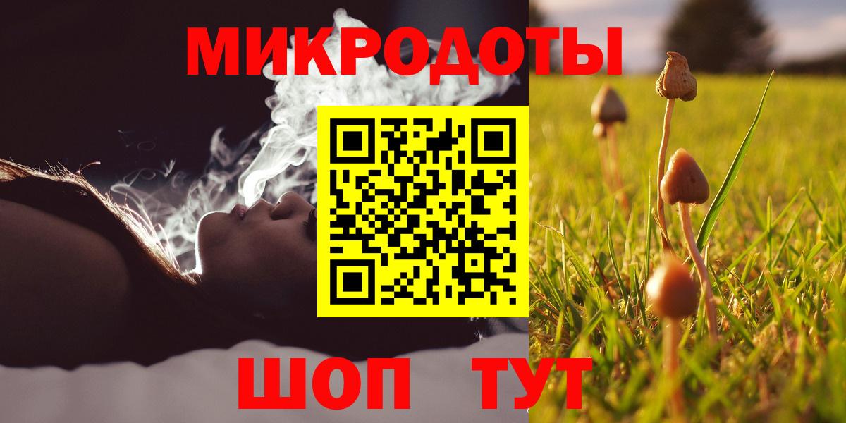 Галлюциногенные грибы Psilocybe Тайшет
