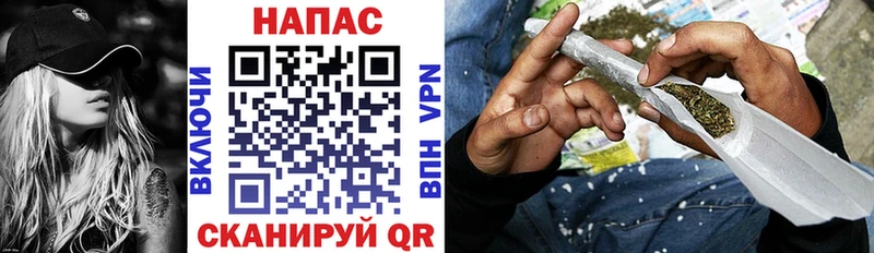 Бошки Шишки конопля  Тайшет 